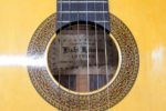小平楽器 ハンドメイド ギター E500_02